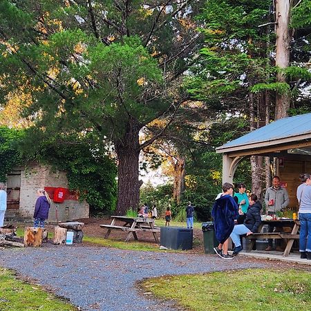 Zeehan Bush Camp エクステリア 写真